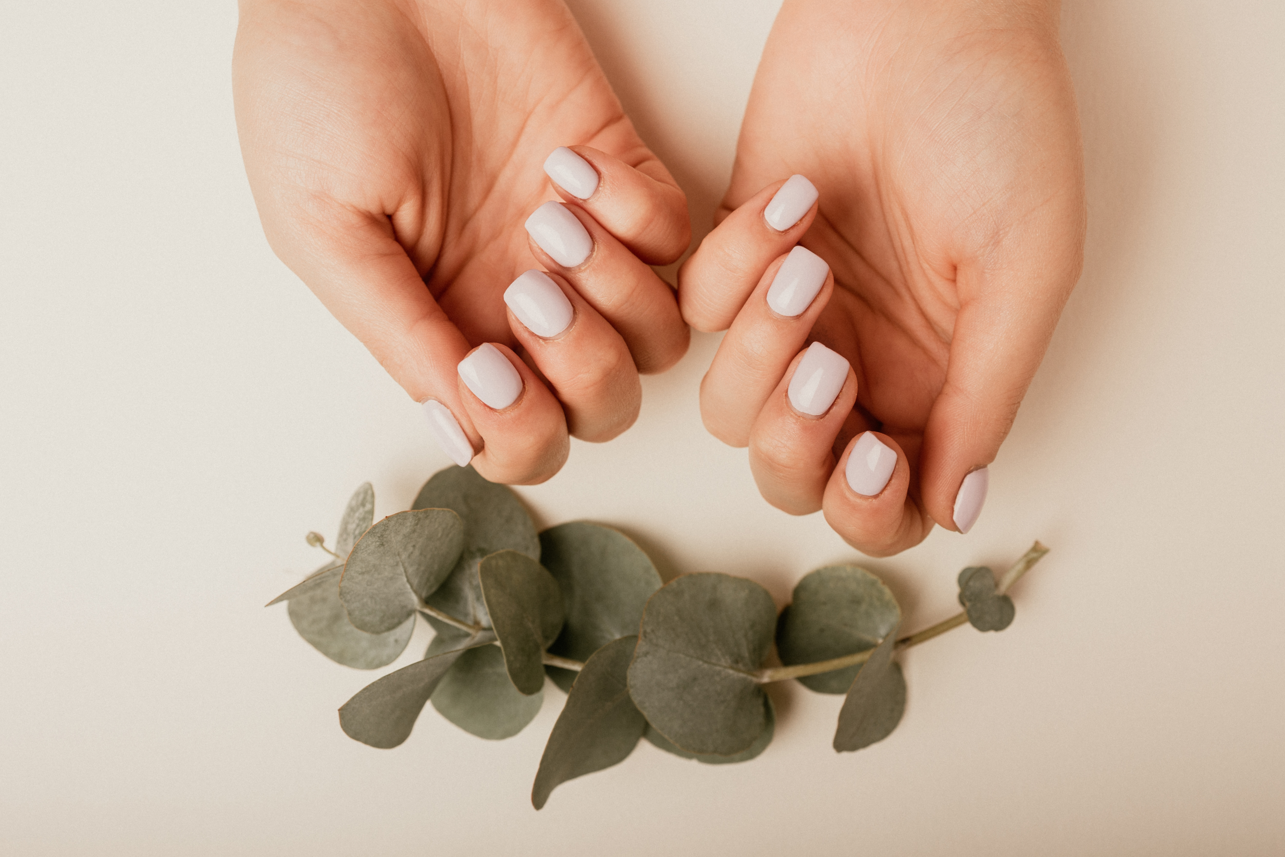 Evercures Nail Art